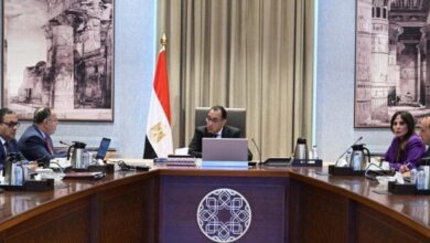 رئيس الوزراء يستعرض مقترح وثيقة السياسات الضريبية لمصر «فيديو»